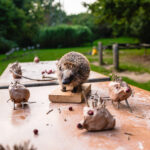 BNE lokal und global – Indigenes Wissen als Impuls für nachhaltige Bildung