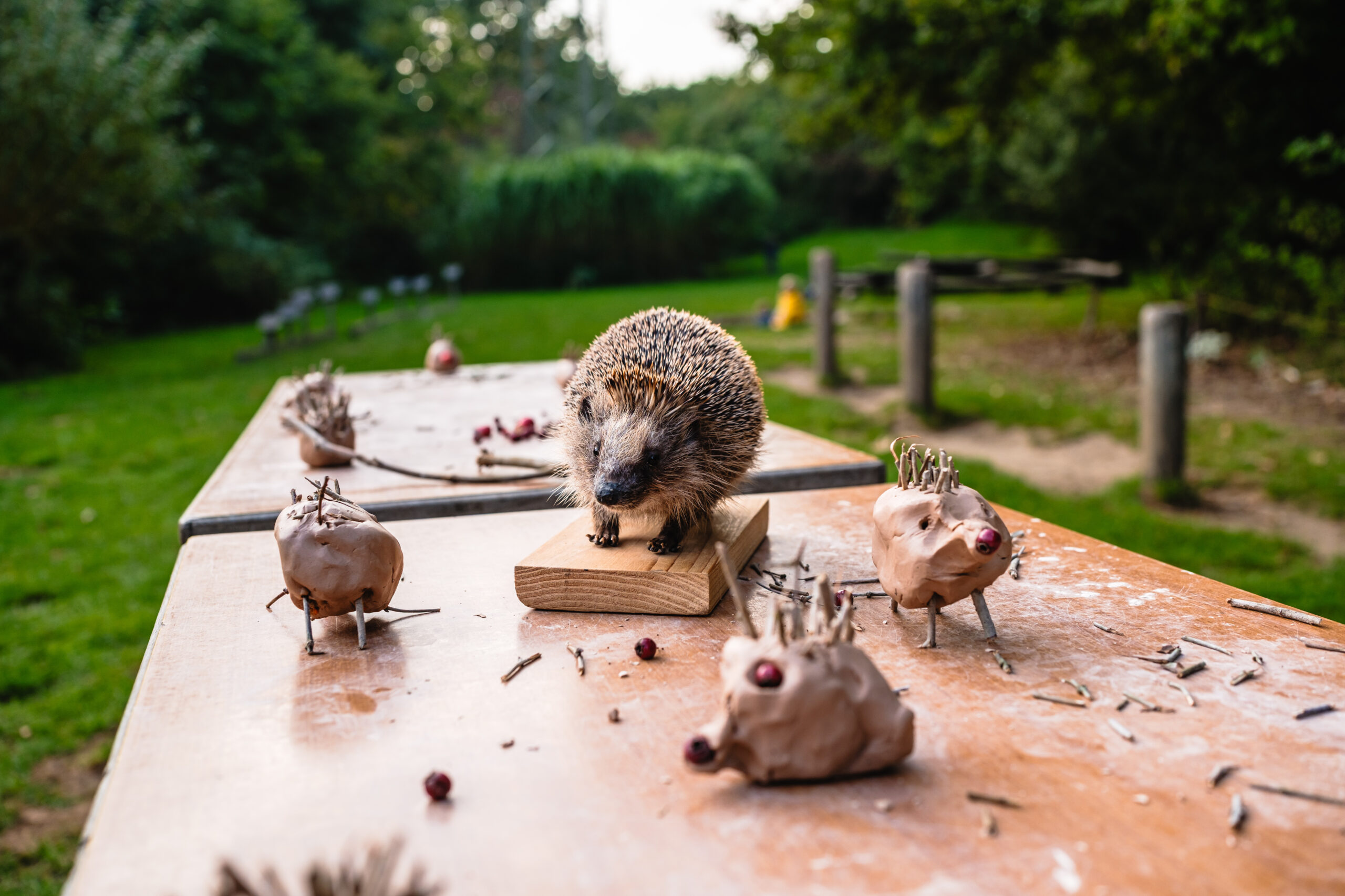 Foto: Andi Weiland | MINTvernetzt